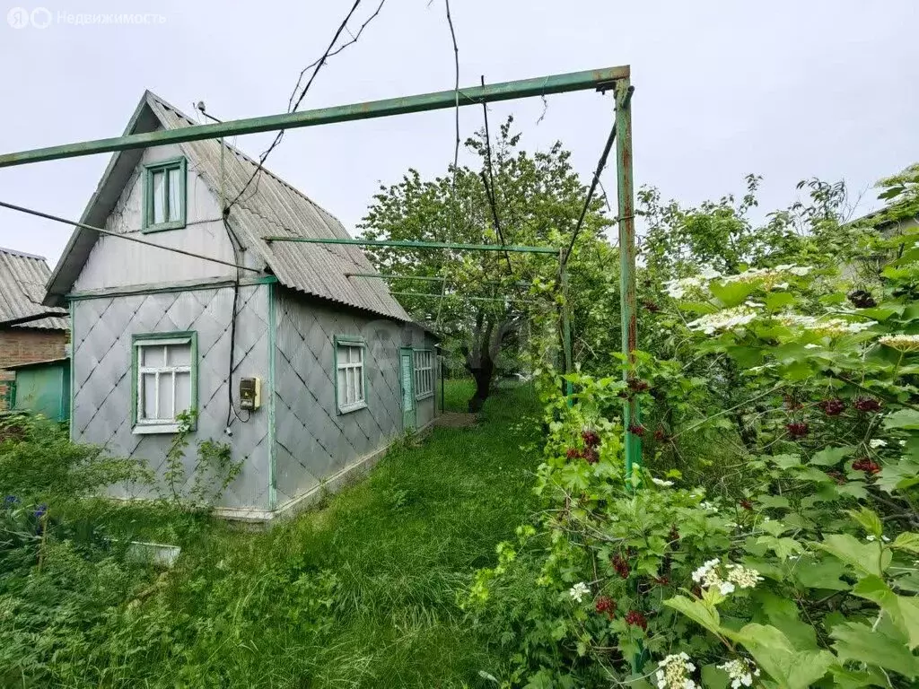 Участок в Щепкинское сельское поселение, хутор Нижнетемерницкий, СНТ ... - Фото 1