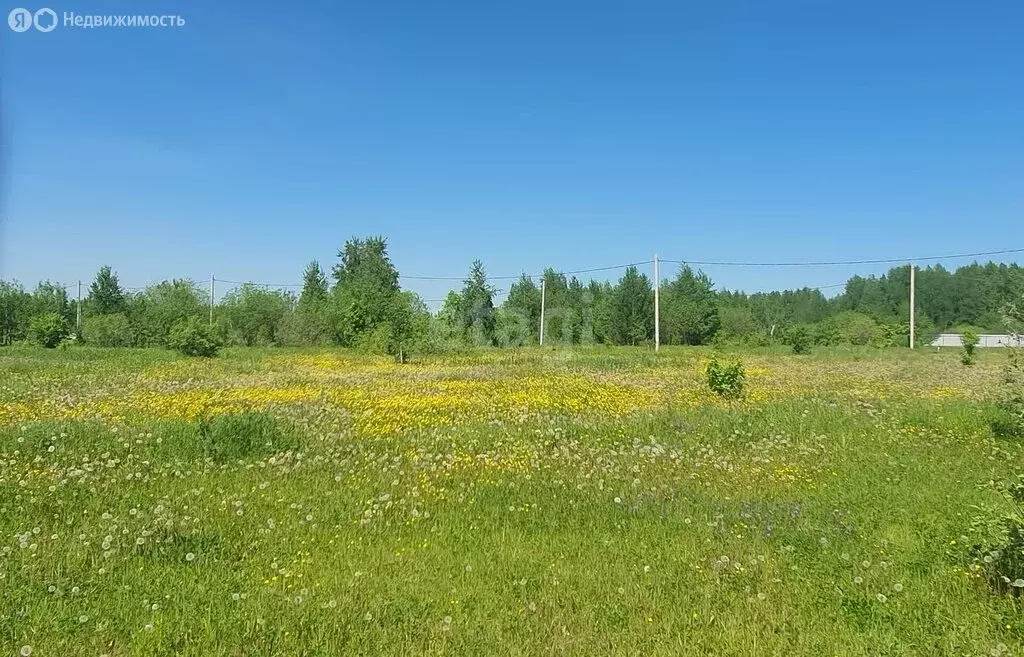 Участок в Кемерово, улица Святой Источник (10 м) - Фото 0