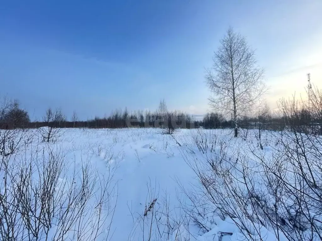 Участок в Костромская область, Волгореченск  (9.0 сот.) - Фото 1