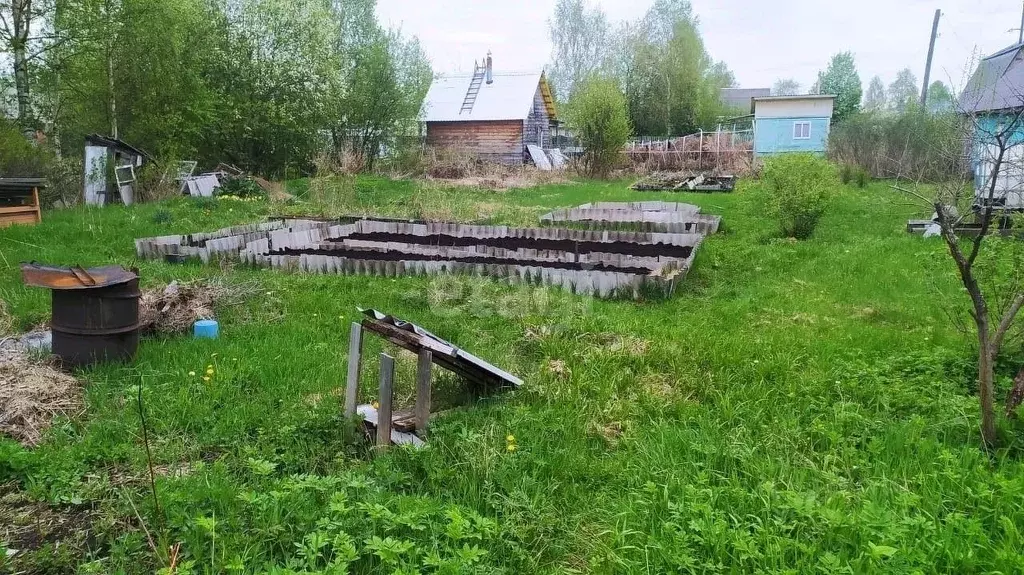 Участок в Архангельская область, Котласский муниципальный округ, ... - Фото 1