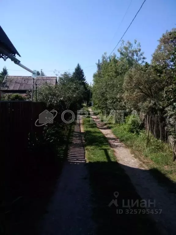 Участок в Тюменская область, Тюмень Вишенка садовое товарищество, ул. ... - Фото 1