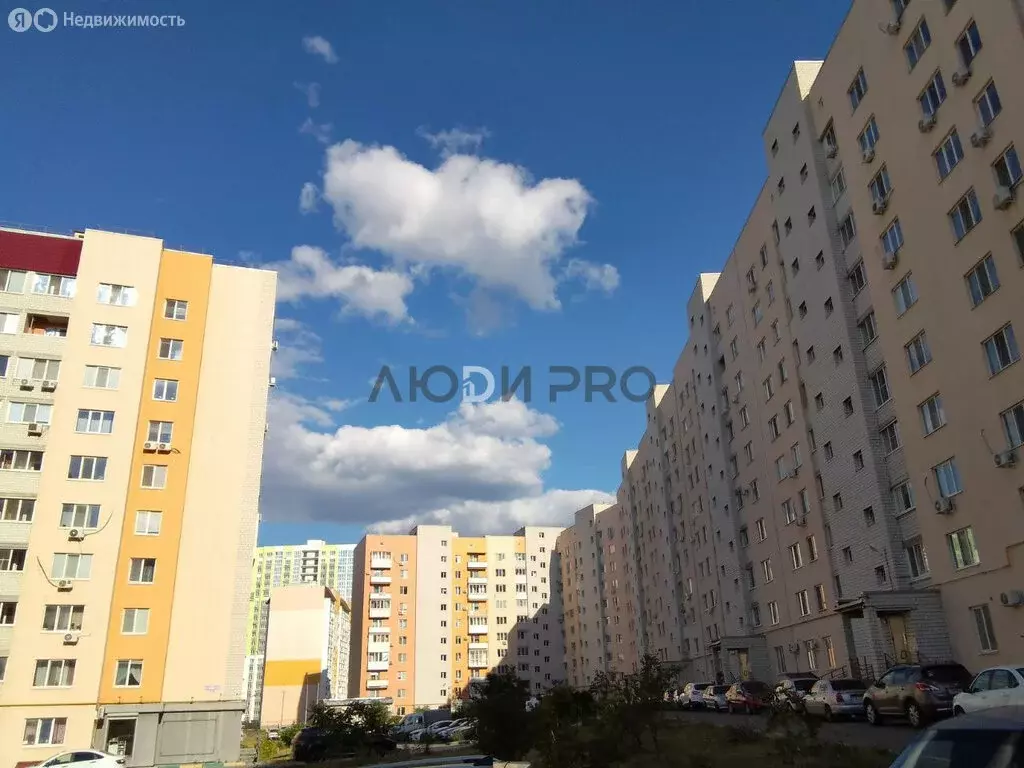 Квартира-студия: Саратов, улица имени Академика Н.Н. Семёнова, 13 (26 ... - Фото 1