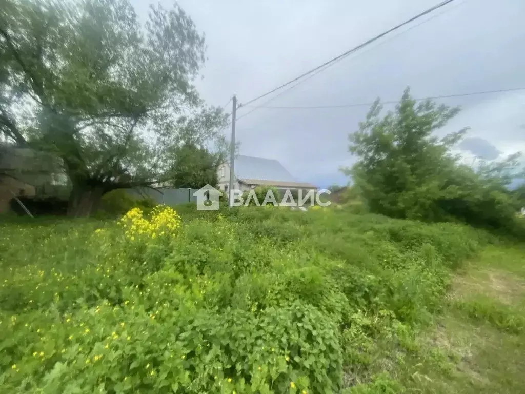 Участок в Пензенская область, с. Бессоновка ул. Зинукова, 34 (22.0 ... - Фото 2