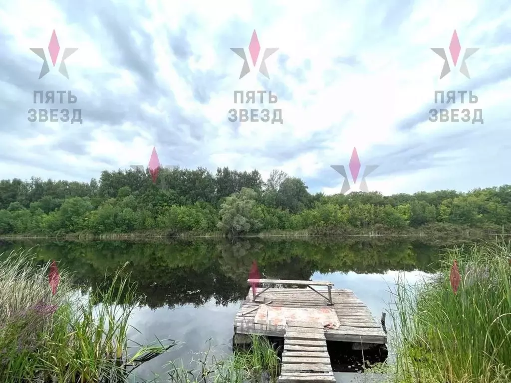 Участок в Самарская область, Безенчукский район, Екатериновка с/пос, ... - Фото 1