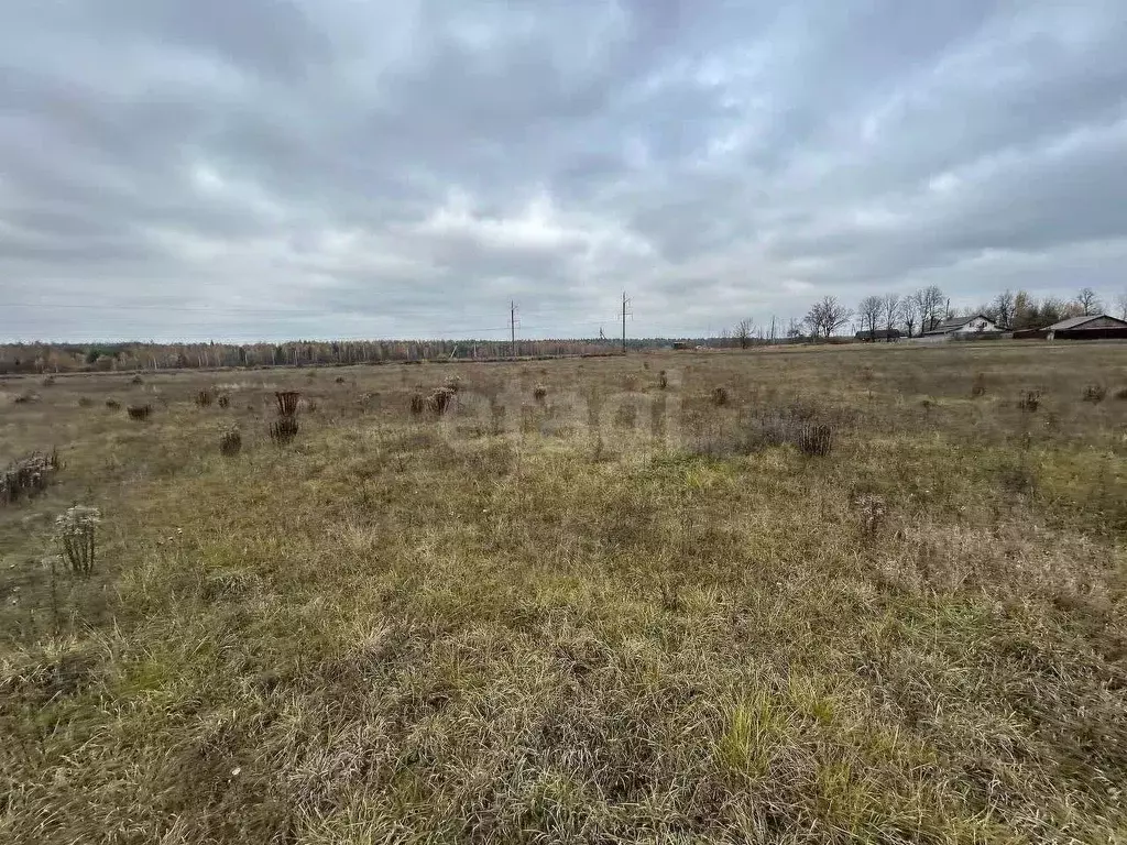 Участок в Брянская область, Брянский район, Нетьинское с/пос, пос. ... - Фото 2
