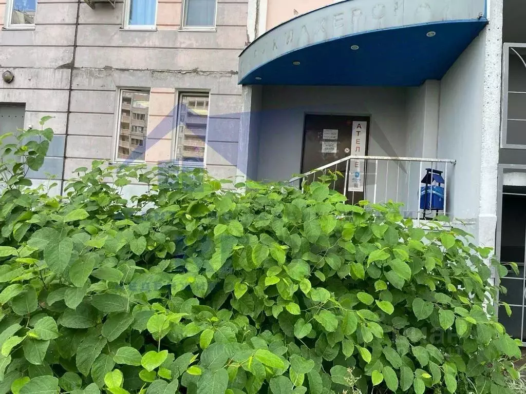 Помещение свободного назначения в Московская область, Красногорск ул. . - Фото 1