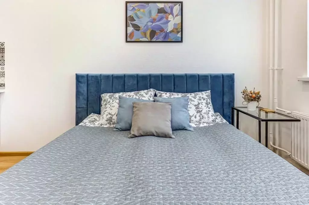 1-к кв. Санкт-Петербург пос. Песочный, Садовая ул., 90 (18.0 м) - Фото 1