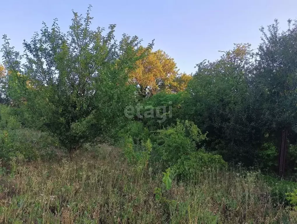 Участок в Краснодарский край, Ейское городское поселение, пос. ... - Фото 0