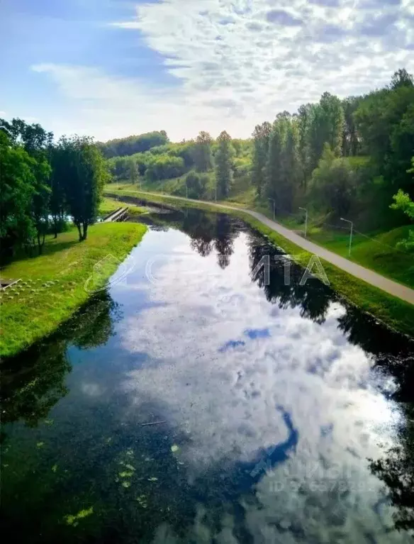 Участок в Тюменская область, Тюменский район, с. Кулига Транспортная ... - Фото 2