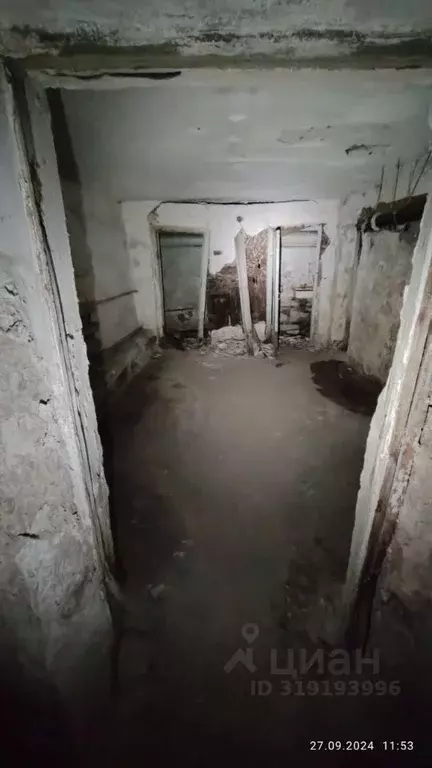 Помещение свободного назначения в Новосибирская область, Новосибирск ... - Фото 0
