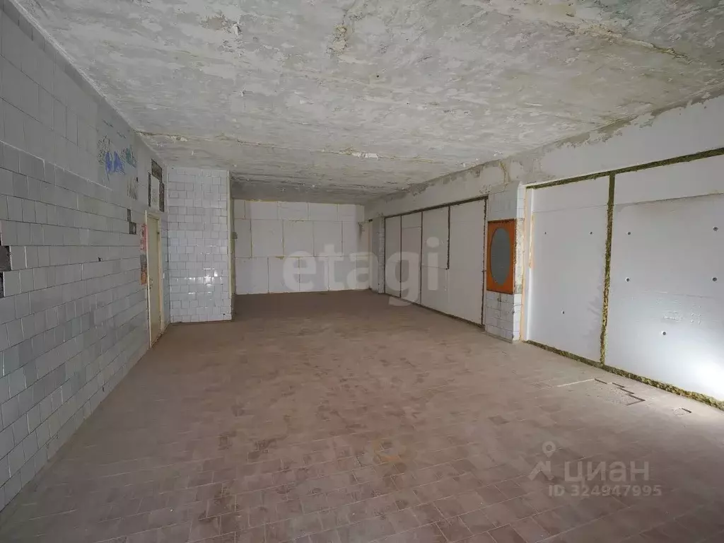 Помещение свободного назначения в Псковская область, Остров Строитель ... - Фото 1