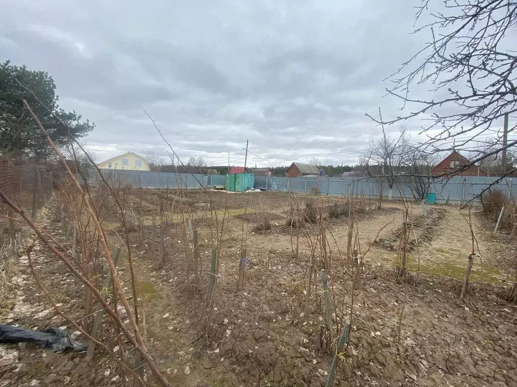 Участок в Владимирская область, Александровский район, Андреевское ... - Фото 1