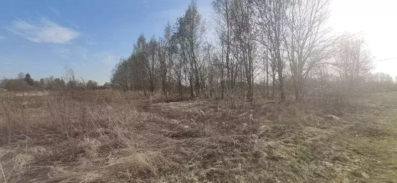 Участок в Московская область, Талдомский городской округ, д. Юркино  ... - Фото 0