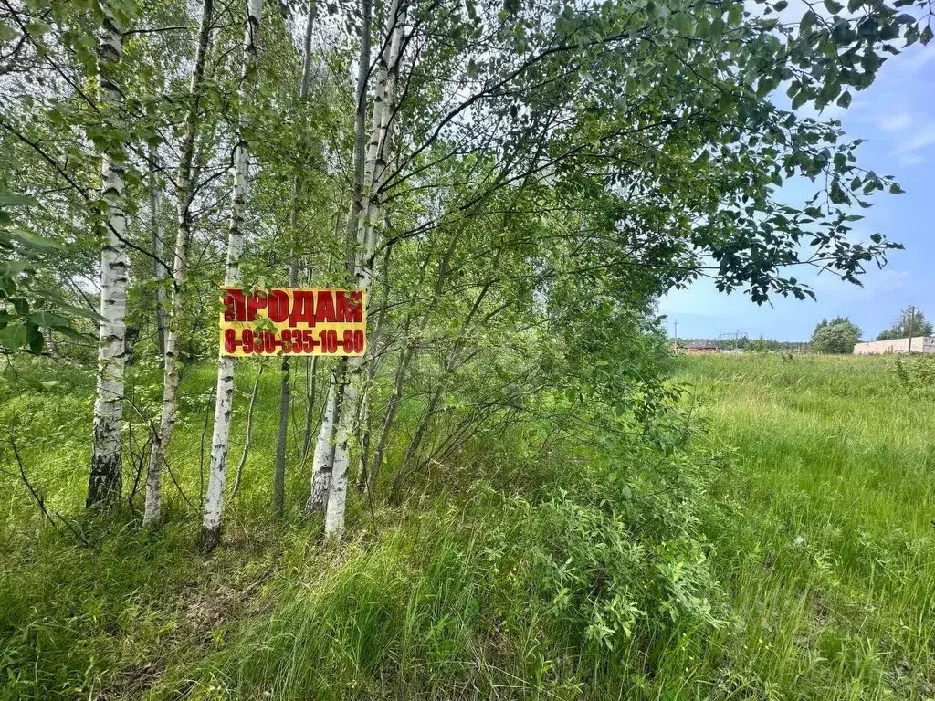 Участок в Владимирская область, Петушинский район, д. Пекша ул. ... - Фото 1