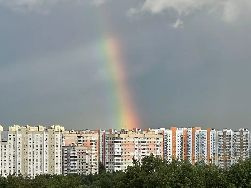 Студия Москва Пятницкое ш., 56Б (23.0 м) - Фото 2
