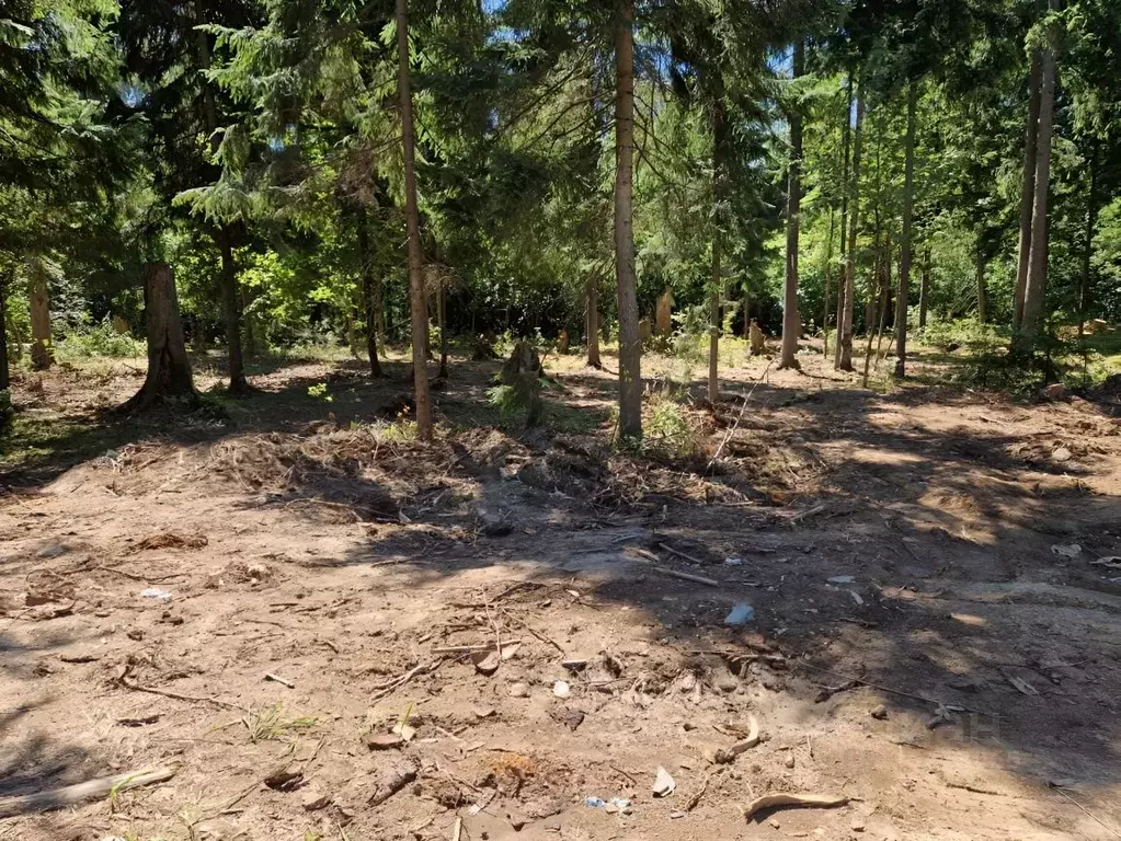Участок в Московская область, Наро-Фоминский городской округ, д. ... - Фото 2