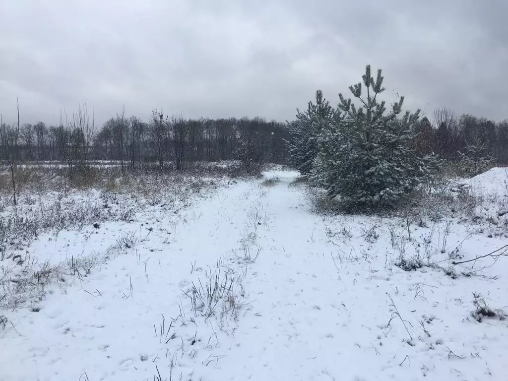 Участок в Московская область, Пушкинский городской округ, д. Цернское  ... - Фото 0