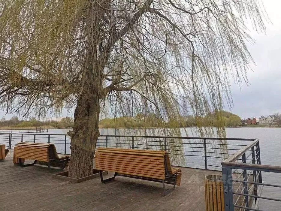 2-к кв. Воронежская область, Грибановский пгт ул. Машзаводская, 24 ... - Фото 1