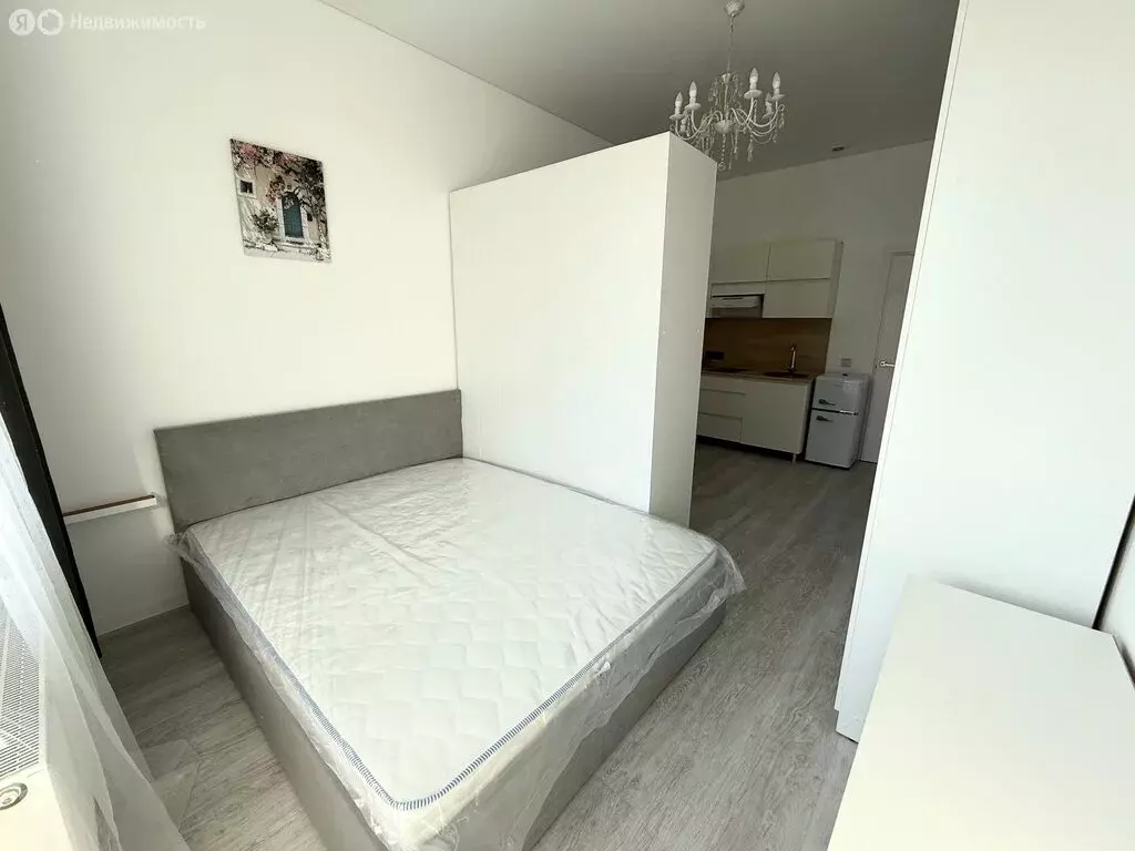 Квартира-студия: Санкт-Петербург, Пулковское шоссе, 99к6 (27 м) - Фото 2