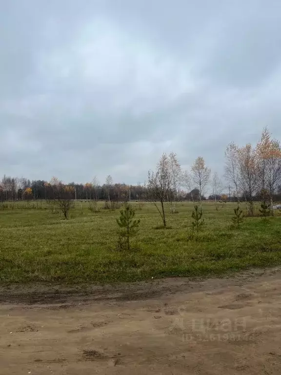 Участок в Тульская область, Щекинский район, Крапивенское с/пос, с. ... - Фото 1