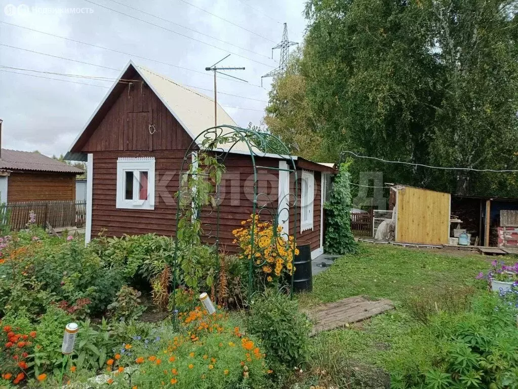 Дом в Новосибирская область, Коченёвский муниципальный район, рабочий ... - Фото 2