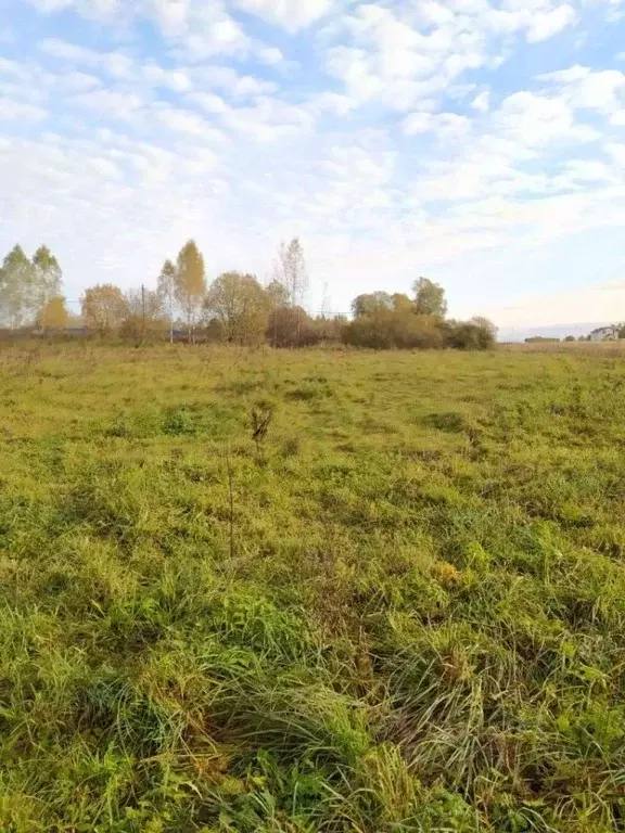 Участок в Смоленская область, Смоленский муниципальный округ, д. Лубня ... - Фото 2