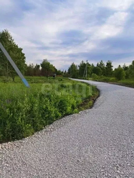 Участок в Московская область, Ступино городской округ, пос. Новое ... - Фото 1