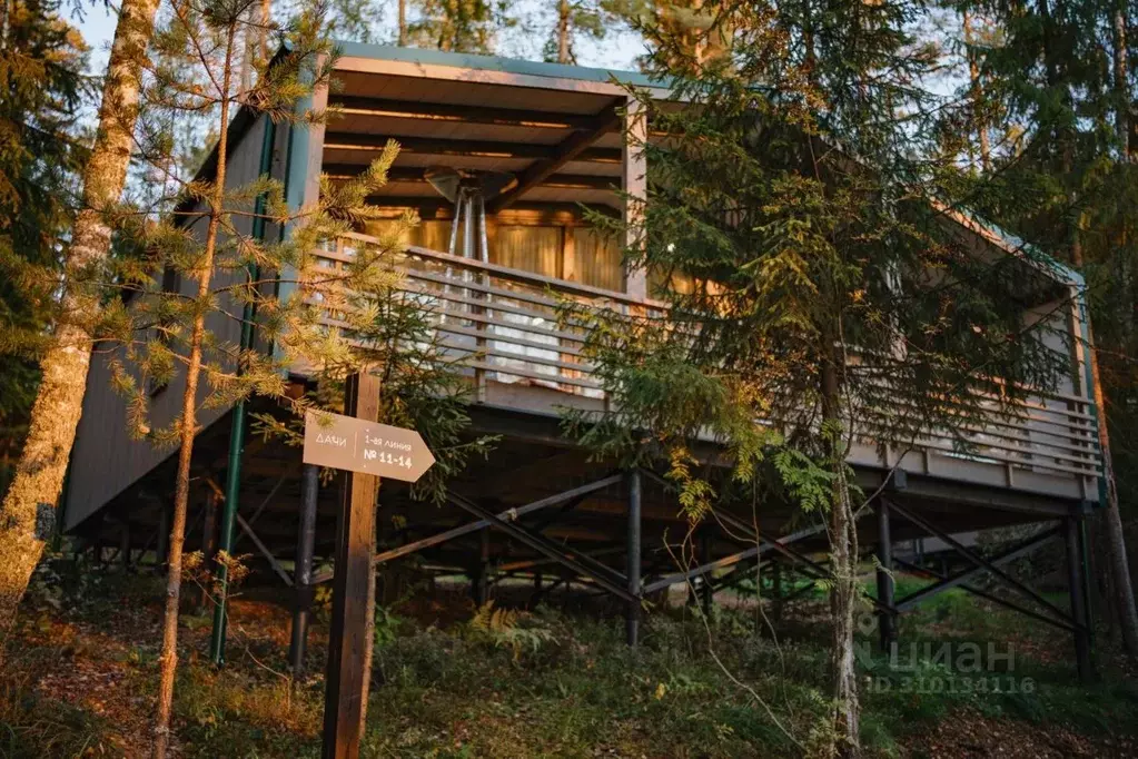 Дом в Ленинградская область, Выборгский район, Первомайское с/пос, ... - Фото 1