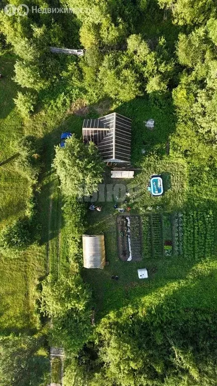 Дом в Сокол, СНТ Садовод-4 (24 м) - Фото 2