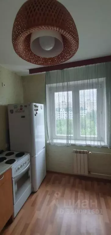 2-к кв. Омская область, Омск ул. Димитрова, 67к1 (56.0 м) - Фото 1