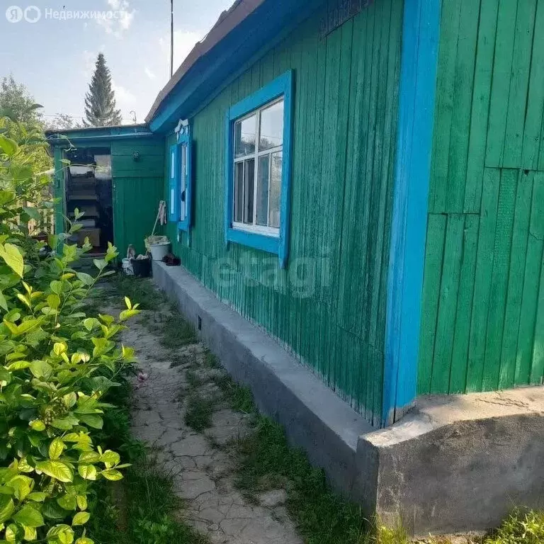 Дом в Колыванский район, СНТ Электрон, Озёрный переулок (40 м) - Фото 1