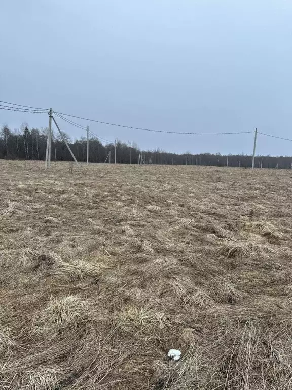 Участок в Тверская область, Калининский муниципальный округ, д. Езвино ... - Фото 0