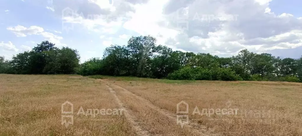 Участок в Волгоградская область, Краснослободск Среднеахтубинский ... - Фото 1