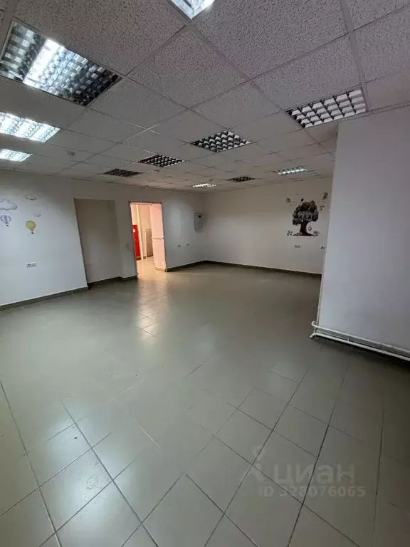 Офис в Новосибирская область, Новосибирск Гурьевская ул., 78 (55 м) - Фото 2