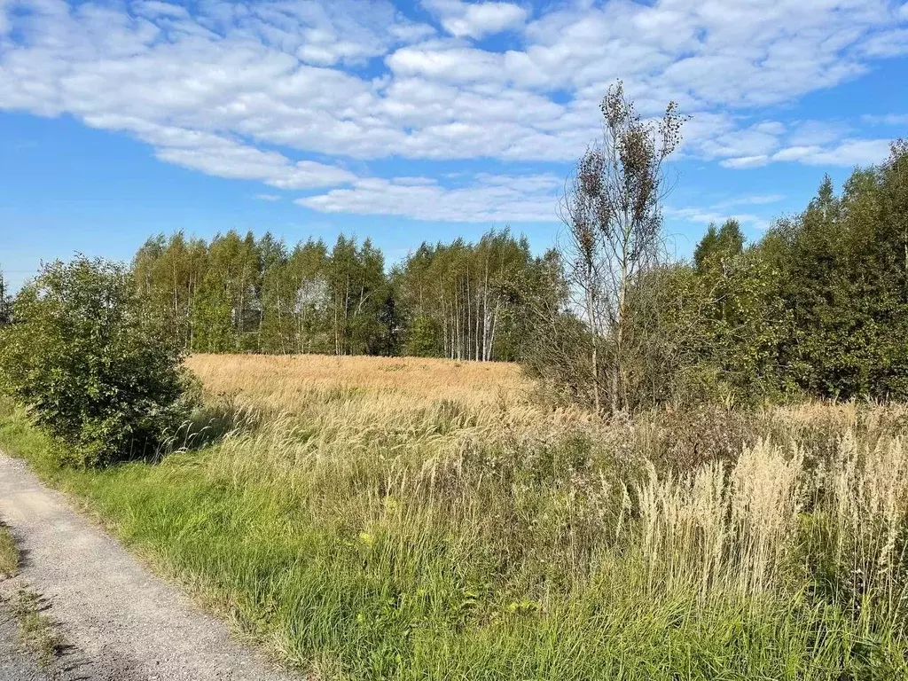 Участок в Московская область, Сергиево-Посадский городской округ, д. ... - Фото 2