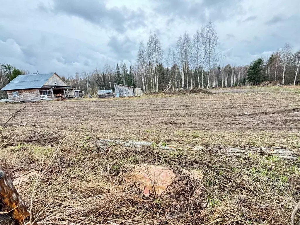 Участок в Коми, Сыктывдинский район, Шошка муниципальное образование, ... - Фото 1