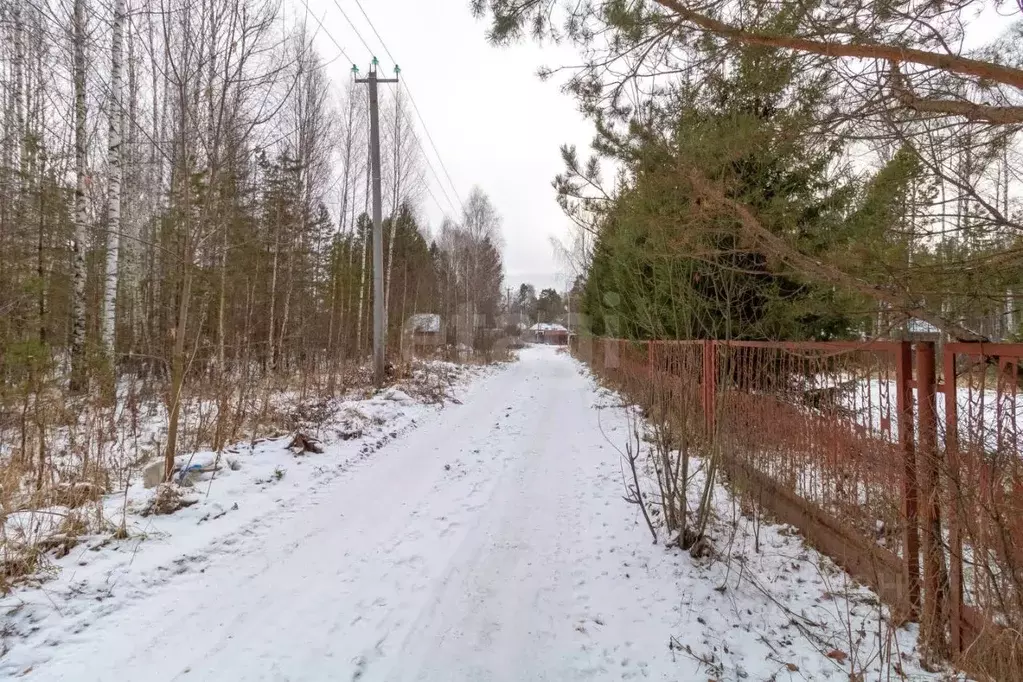 Участок в Тюменская область, Нижнетавдинский муниципальный округ, ... - Фото 1