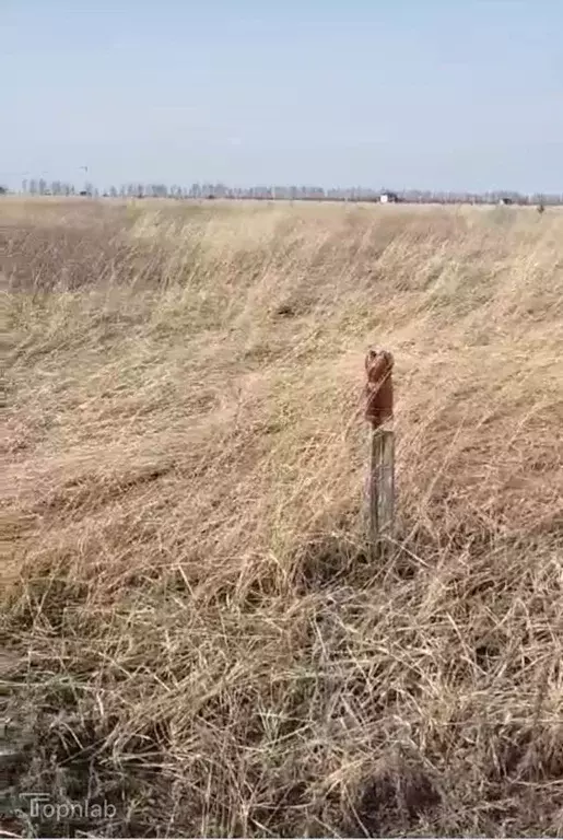 Участок в Тамбовская область, Тамбов ул. Челнавская (7.18 сот.) - Фото 1