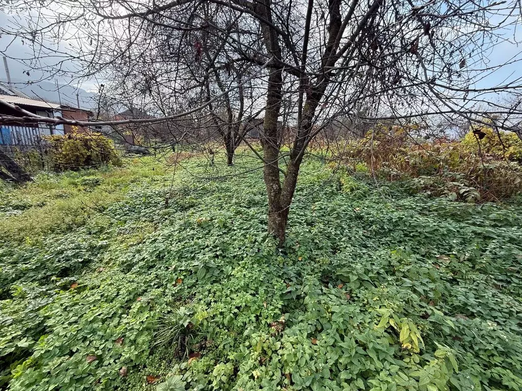 Участок в село Троицкое, Зелёный переулок (46 м) - Фото 1