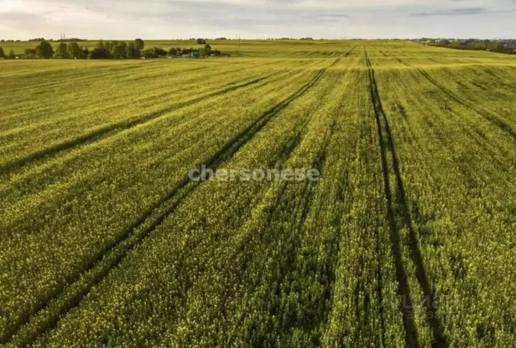 Участок в Крым, Красноперекопский район, с. Орловское  (365.0 сот.) - Фото 1