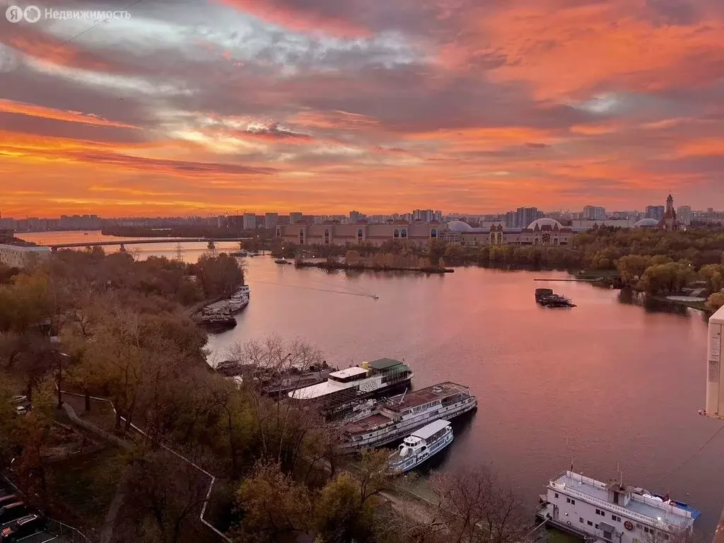 1-комнатная квартира: Москва, улица Трофимова, 16 (27 м) - Фото 1