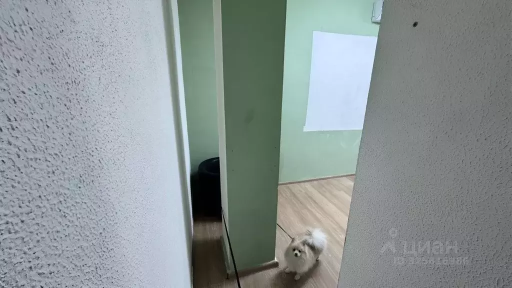 Офис в Краснодарский край, Сочи Центральный мкр, ул. Навагинская, 3/15 ... - Фото 2