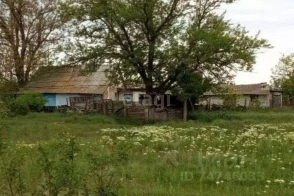 Крым Раздольненский Район Село Серебрянка Купить Дом