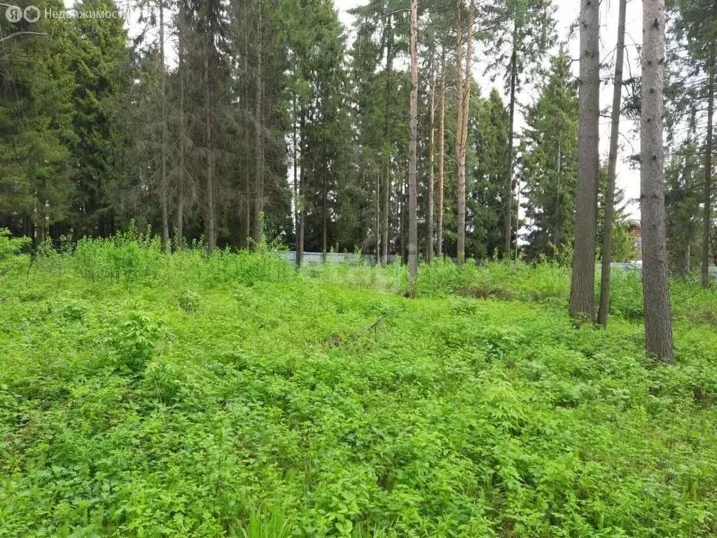 Участок в Шиховское сельское поселение, деревня Сунцовы (10 м) - Фото 0