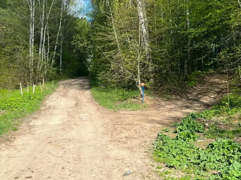 Участок в Тульская область, Тула городской округ, с. Архангельское ул. ... - Фото 1