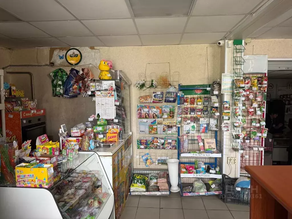 Торговая площадь в Новосибирская область, с. Новолуговое Инская ул., ... - Фото 2