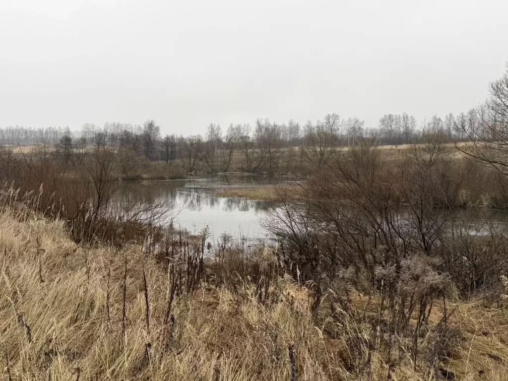 Участок в Тульская область, Ясногорский район, Ревякинское с/пос, № 20 ... - Фото 2