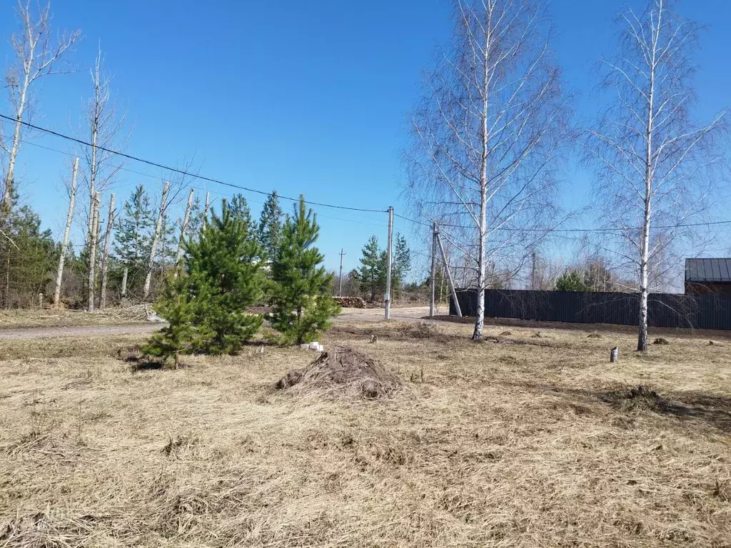 Участок в Воронежская область, Воронеж Большая Семья СНТ, ул. Полевая ... - Фото 1