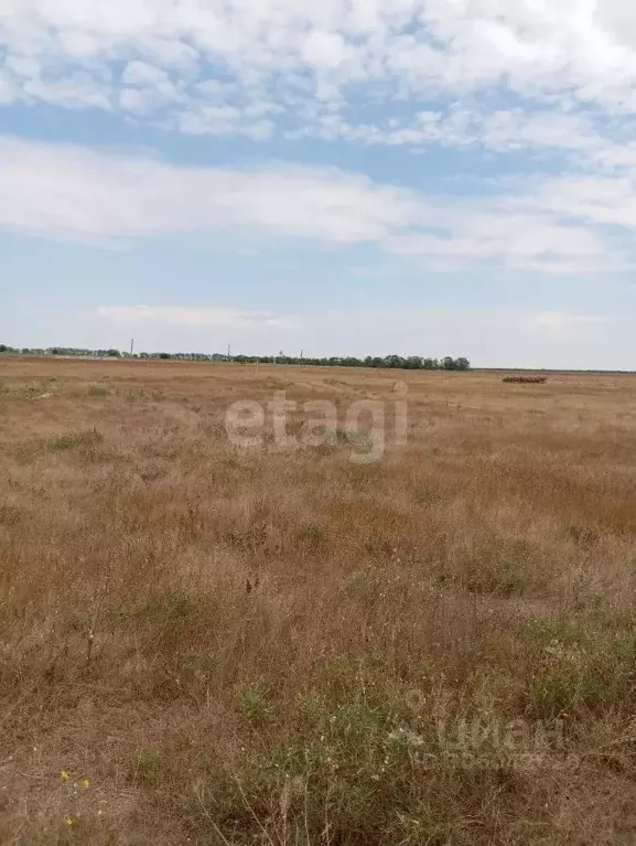 Участок в Крым, Сакский район, с. Добрушино ул. Новая (11.0 сот.) - Фото 0