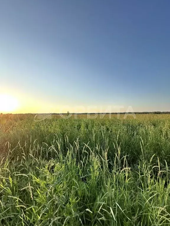 Участок в Тюменская область, Тюмень Большое Царево-1 СНТ,  (10.0 сот.) - Фото 0